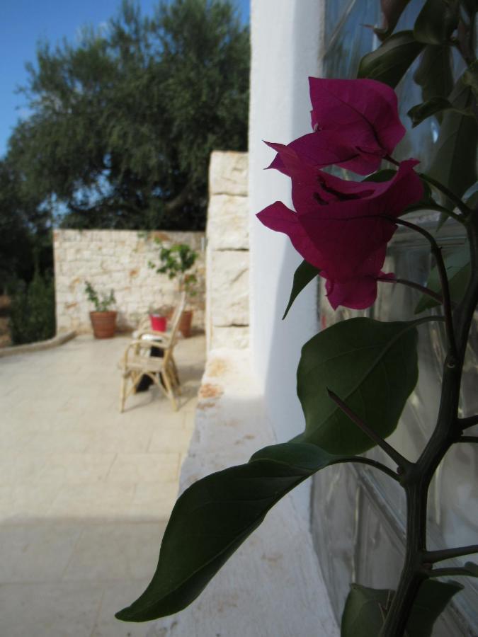 Casa Ale & Vinci Villa Monopoli Exterior photo